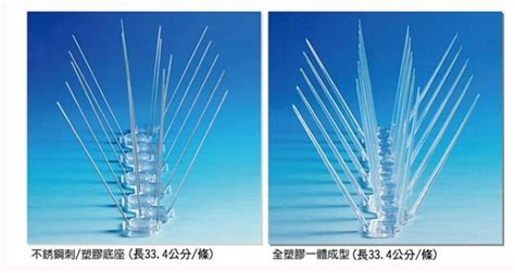 鳥在住家築巢|鳥害防治！如何防止鳥築巢？友善驅鳥、防鳥方法推薦。